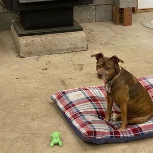 Meet your Posher, Jay